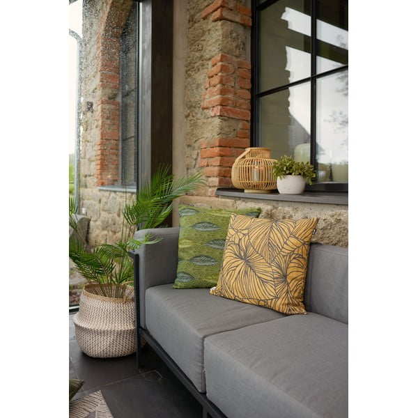 Rumena vrtna blazina Hartman Lily, 50 x 50 cm-image-4