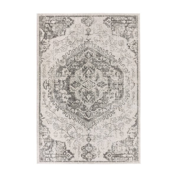 Siva/kremno bela preproga 160x230 cm Nova – Asiatic Carpets