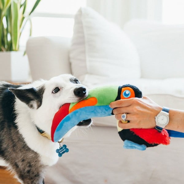Igrača za pse Tukan - P.L.A.Y.-image-1