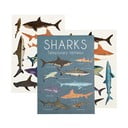 Začasna tetovaža 2 kos Sharks - Rex London