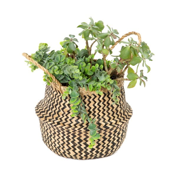 Košara za shranjevanje iz morske trave Zic Zac, ⌀ 27 cm-image-2