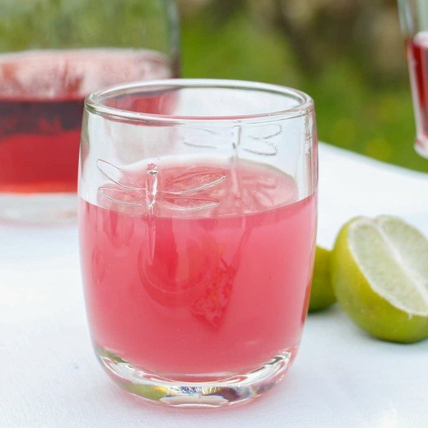 Komplet 6 kozarcev La Rochère Libellules, 280 ml-image-1