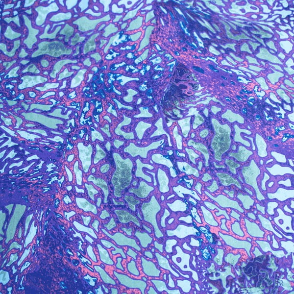 Modra enojna bombažna otroška posteljnina 140x200 cm How To Train Your Dragon – Jerry Fabrics-image-4