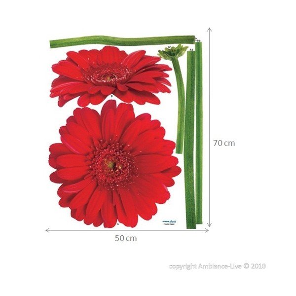 Nalepka Ambiance Gerbera cvetje-image-2