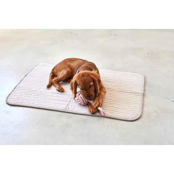 Bež bombažna podloga za pse 90x120 cm Onda Greige L – MiaCara-image-3