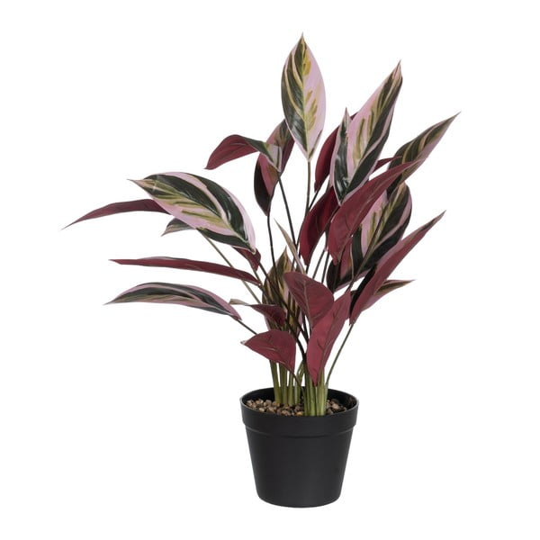 Umetna rastlina (višina 55 cm) Bird of Paradise – Ixia