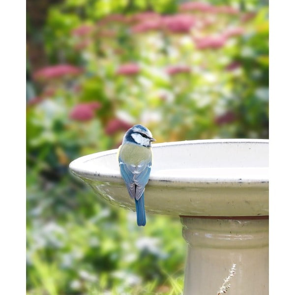 Ptičja krmilnica – Esschert Design-image-2