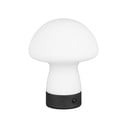 Mat bela LED namizna svetilka s steklenim senčilom (višina 18 cm) Dooley – Reality