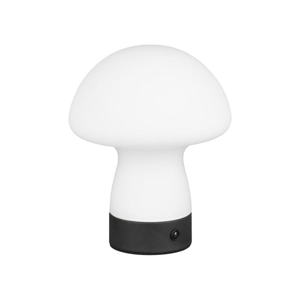 Mat bela LED namizna svetilka s steklenim senčilom (višina 18 cm) Dooley – Trio