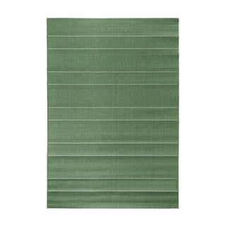 Zelena zunanja preproga Hanse Home Sunshine, 120 x 170 cm