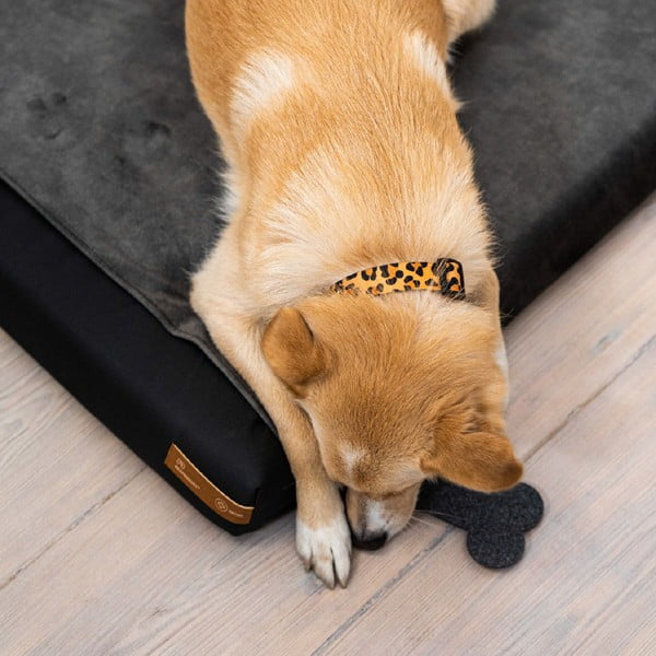 Temno siva prevleka za ležišče za pse 90x70 cm Ori XL – Rexproduct-image-4