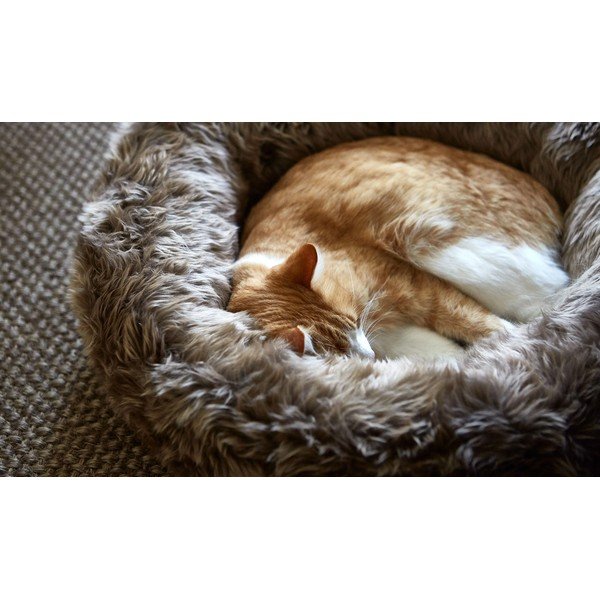 Kremno bela podloga za hišne ljubljenčke iz umetnega krzna ø 50 cm Lana Ivory/Mottled Natural – MiaCara-image-2