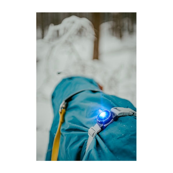 LED lučka za ovratnico Blue - Orbiloc-image-3