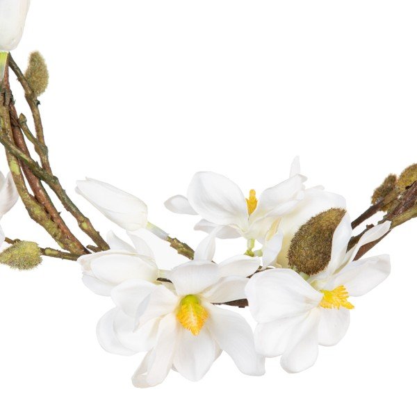 Venec Magnolia – Ixia-image-2