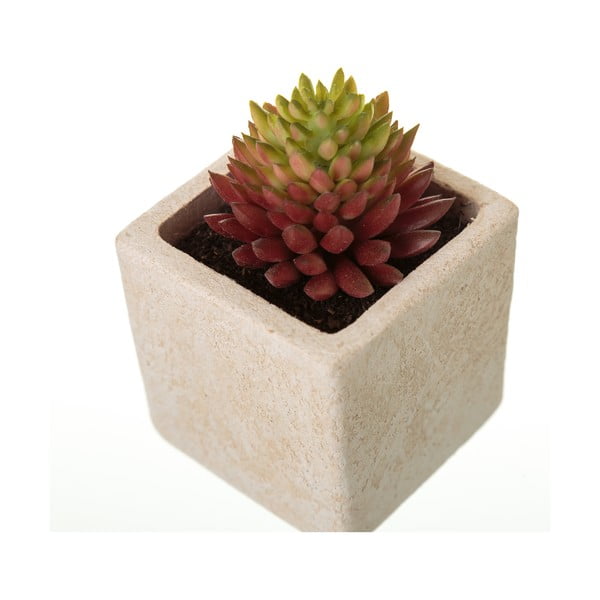 Umetne rastline v kompletu 6 ks (višina 9,5 cm) Cactus – Casa Selección-image-4