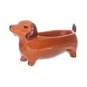 Porcelanasta okrasna skleda 5x14 cm Sausage Dog – Sass & Belle