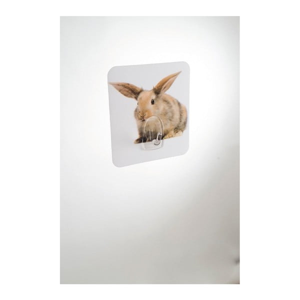 Stenska kljuka Compactor Magic Rabbit