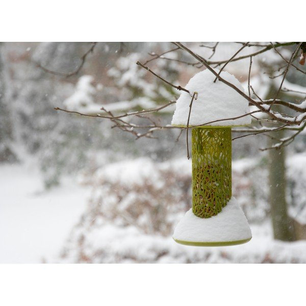 Rumeno-zelena viseča krmilnica za orehe Esschert Design Chiff Chaff Chaff-image-1