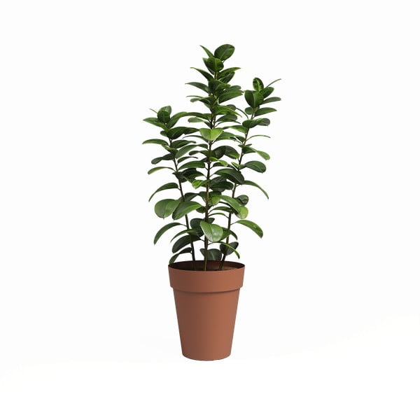 Cvetlični lonec iz reciklirane plastike ø 40 cm Capri – Artevasi-image-1