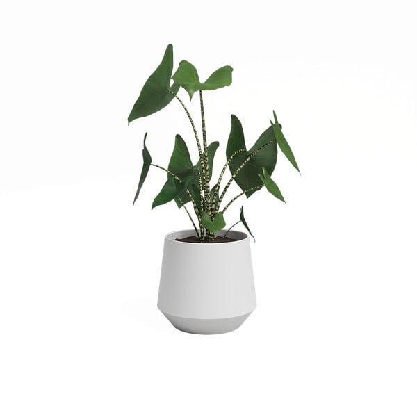 Keramičen cvetlični lonec ø 17 cm Aurora – Artevasi-image-3