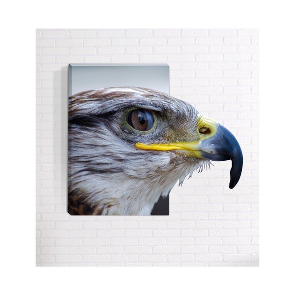 3D stenska slika Mosticx Orel, 40 x 60 cm
