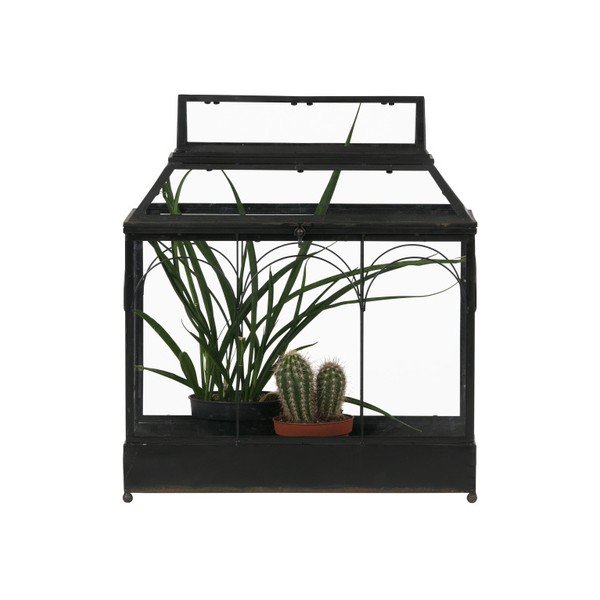 Cvetlični terarij BePureHome Grow-image-1