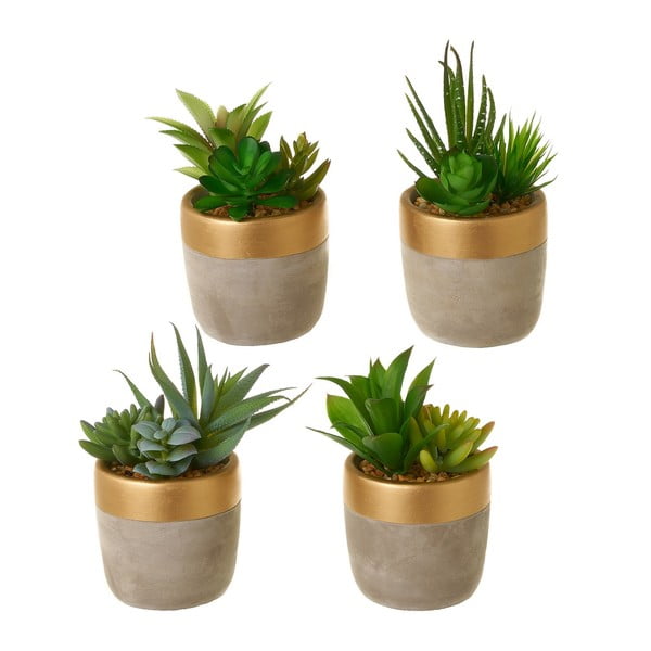 Umetne rastline v kompletu 4 ks (višina 17 cm) Cactus – Casa Selección