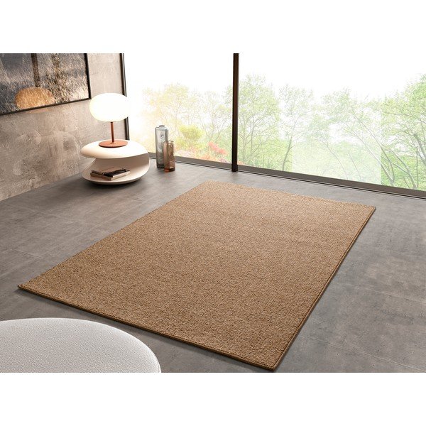 Rjava preproga 80x150 cm Petra Liso – Universal-image-2