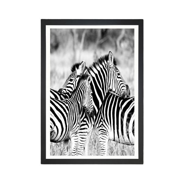 Slika Tablo Center Zebras, 24 x 29 cm