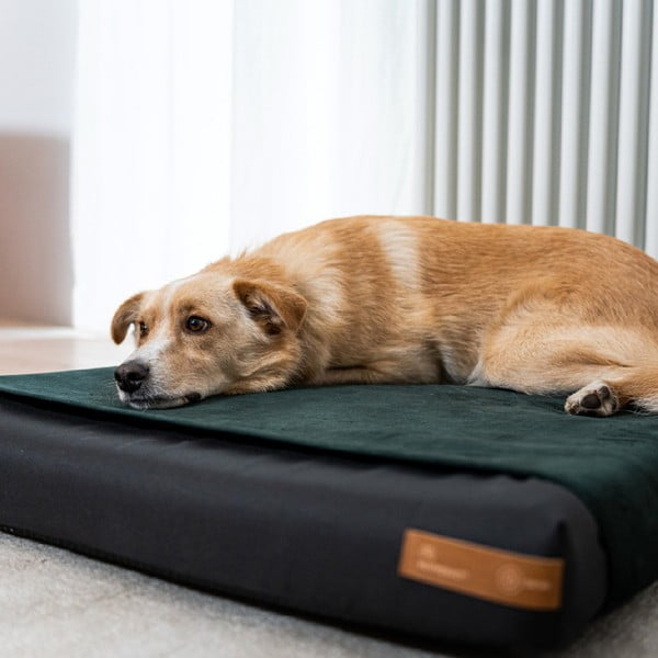 Črno ortopedsko ležišče za pse 90x70 cm Ori XL – Rexproduct-image-2