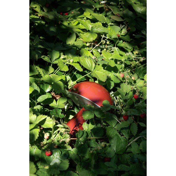 Rdeča LED zatemnitvena namizna svetilka (višina 20 cm) Mush – Hübsch-image-4