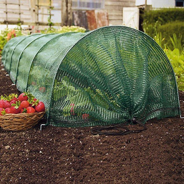 Vrtna koprena – Garden Pleasure