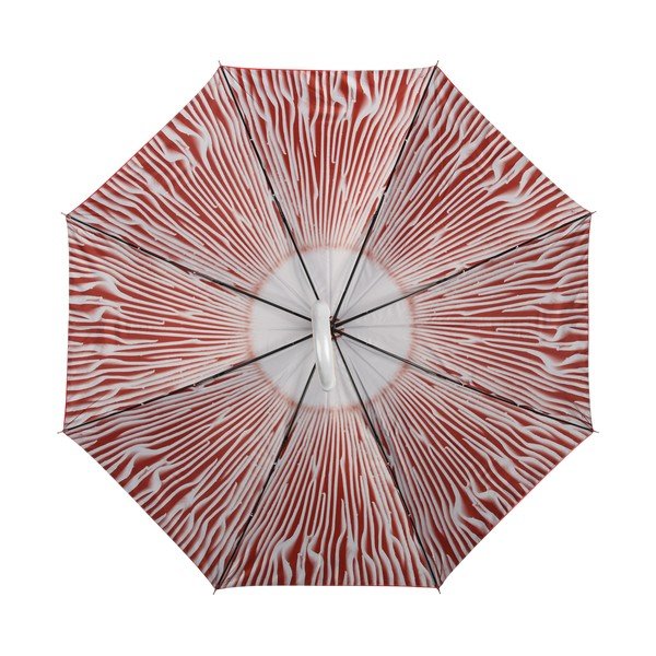 Rdeči dežnik Esschert Design Toadstool-image-3