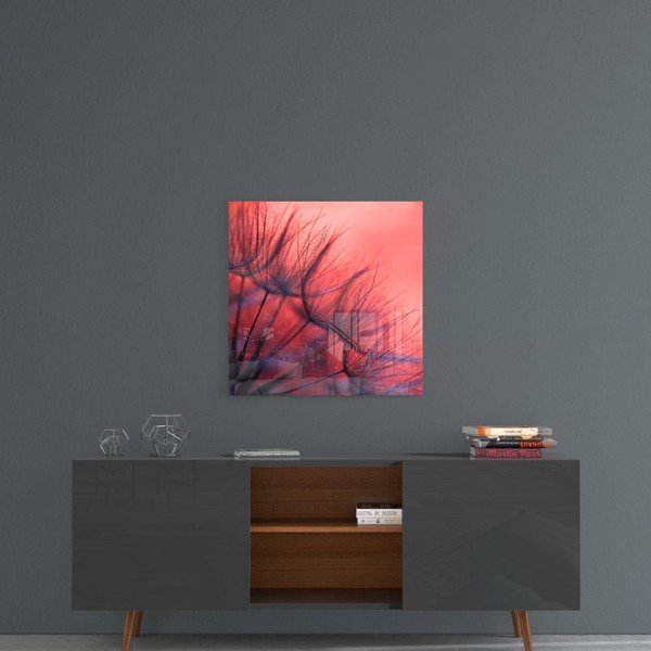 Steklena slika Insigne Red Dandelion, 40 x 40 cm-image-1