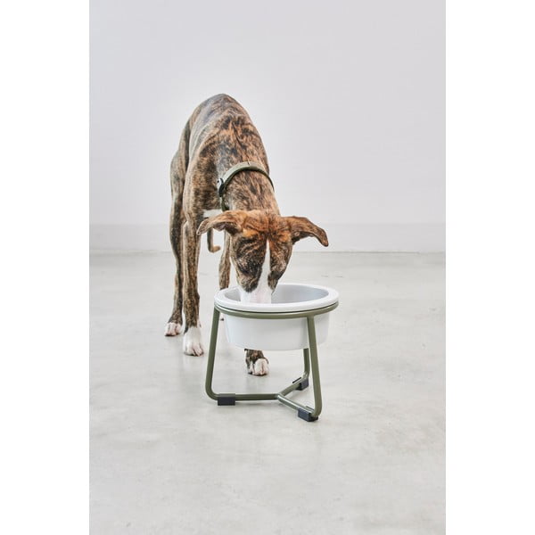 Porcelanasta posoda s podstavkom za pse ø 20 cm Pranzo Grolive M – MiaCara-image-3