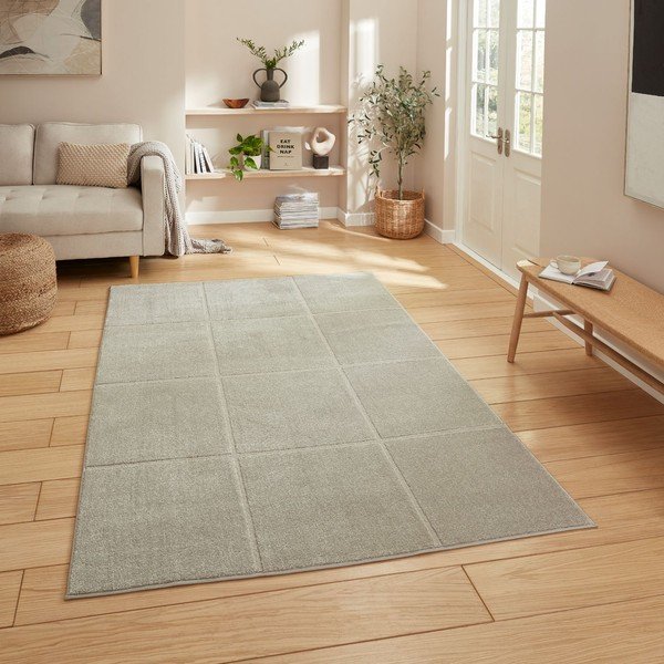 Svetlo siva preproga 120x170 cm Elio Silver – Think Rugs-image-1
