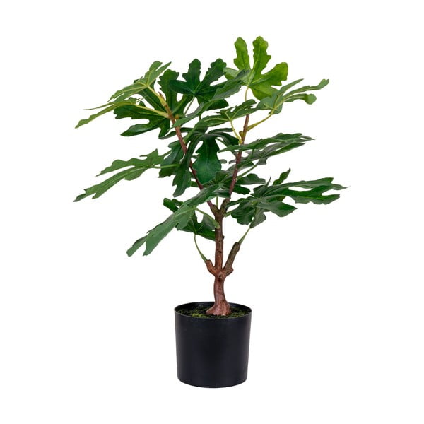 Umetna rastlina (višina 60 cm) Fig – House Nordic