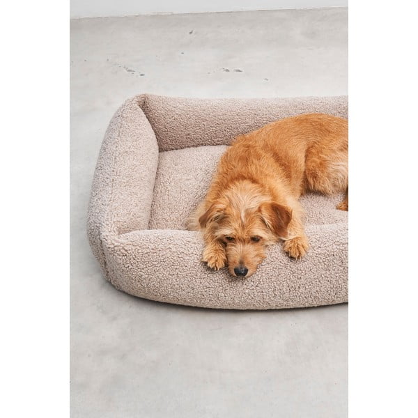 Bež bouclé podloga za pse 55x70 cm Senso Greige S – MiaCara-image-3