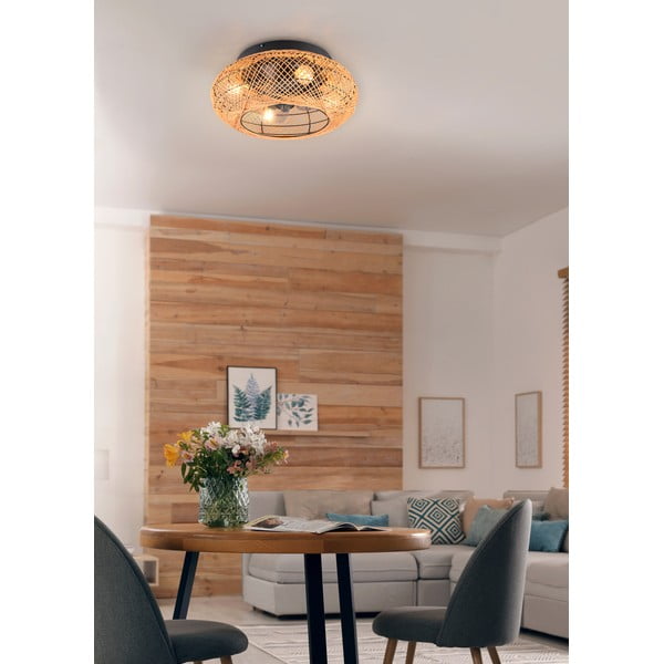 Rjava stropna svetilka z daljinskim upravljalnikom/z ventilatorjem Lillesand – Trio-image-2