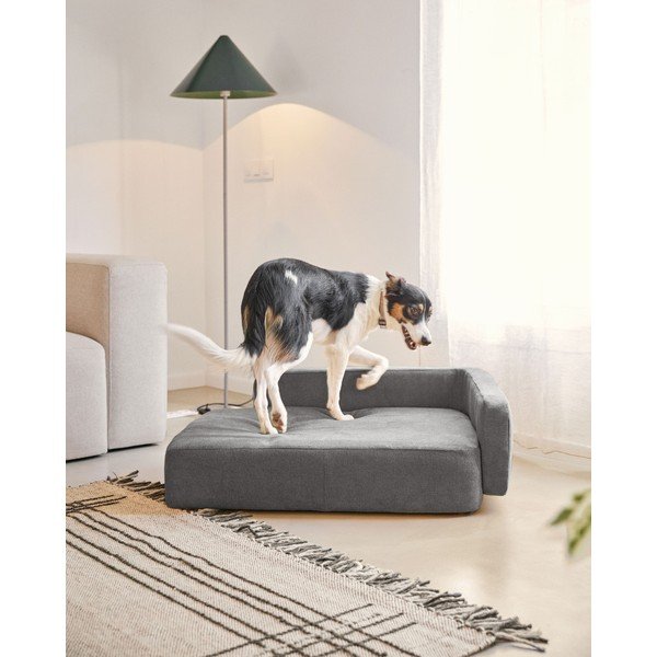 Temno siva pasja postelja 96x70 cm Bowie - Kave Home-image-4