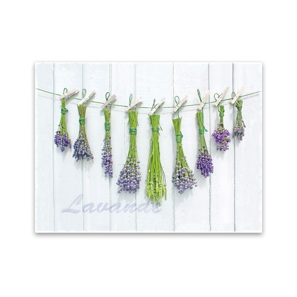 Slika Styler Platno Shabby Herbs, 60 x 80 cm