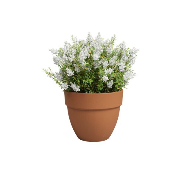 Cvetlični lonec iz terakote ø 40 cm Amalia Campana – Artevasi-image-2