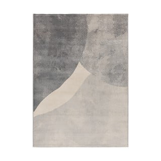 Siva preproga 140x200 cm Monic – Universal