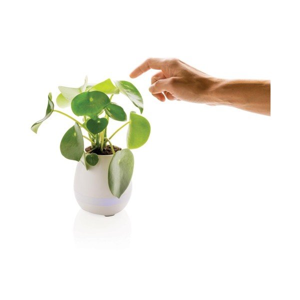 Beli sadilnik z vgrajenim zvočnikom XD Design Flower-image-2