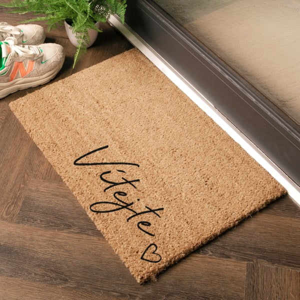 Predpražnik iz kokosovih vlaken 40x60 cm Vítejte – Artsy Doormats-image-1
