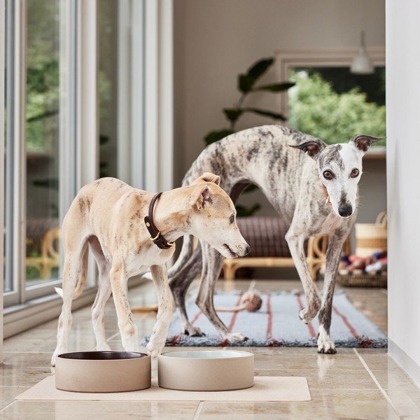 Keramična posoda za hrano za pse ø 17 cm Sia – OYOY Living Design-image-1