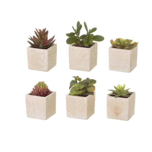 Umetne rastline v kompletu 6 ks (višina 9,5 cm) Cactus – Casa Selección