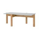 Klubska mizica s stekleno mizno ploščo v naravni barvi 55x105 cm Kob – noo.ma