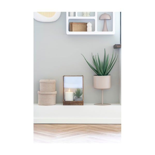 Umetna rastlina (višina 51 cm) Aloe Vera – House Nordic-image-2