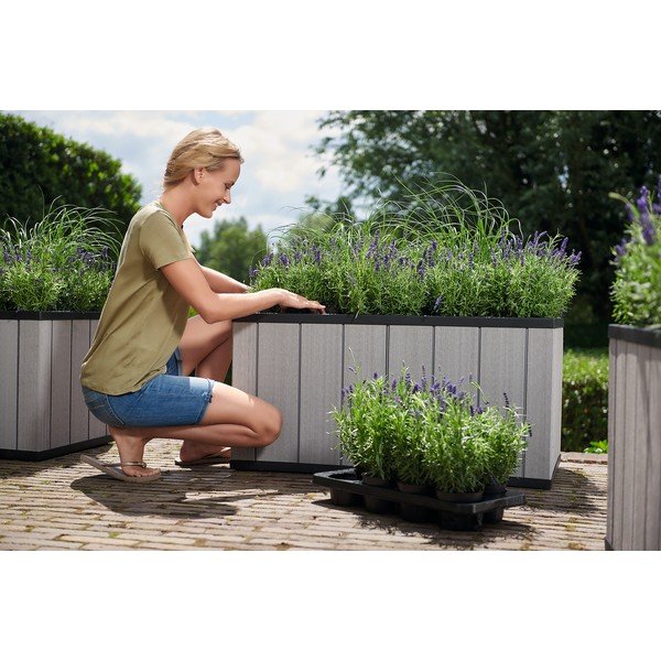 Visoka greda Sequoia Duotech – Keter-image-3